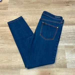 Pilcro and the Letterpress Stet Dark wash jeans, size 29
